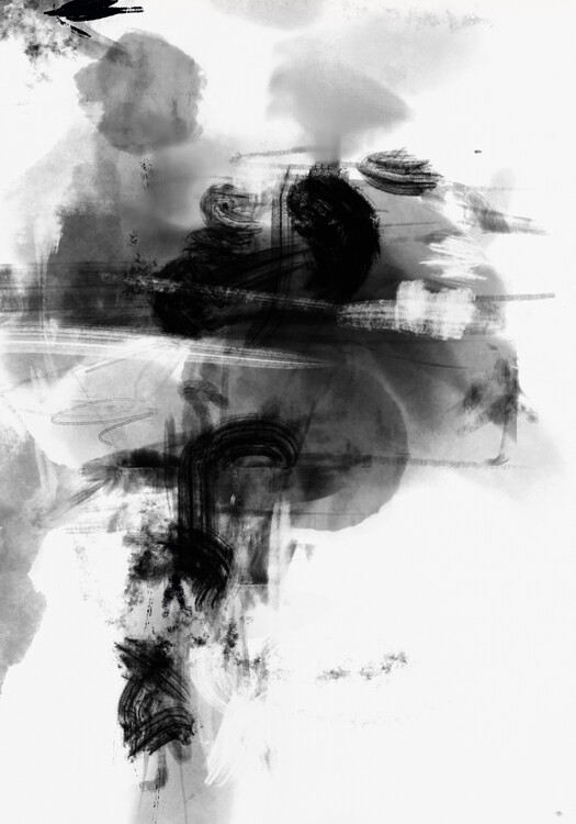 Obraz na plátně wild_play_002