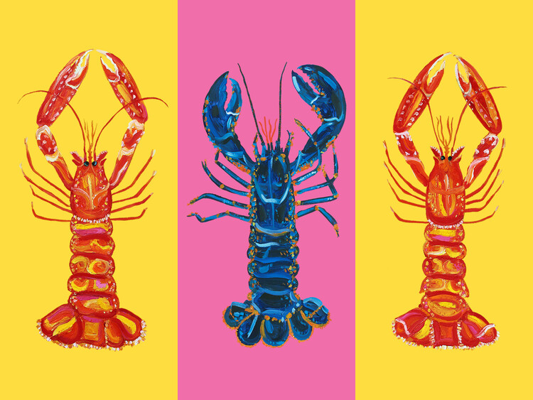 Obraz na plátně Lobster Langoustines Pop Art 2