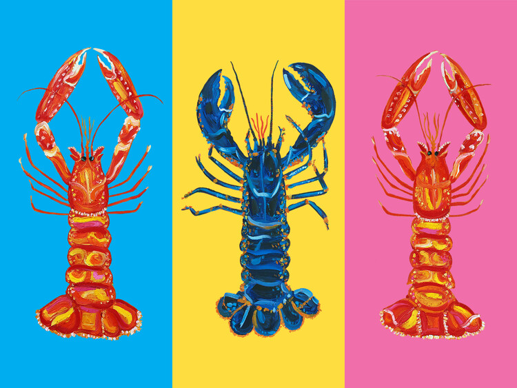 Obraz na plátně Lobster Langoustines Pop Art