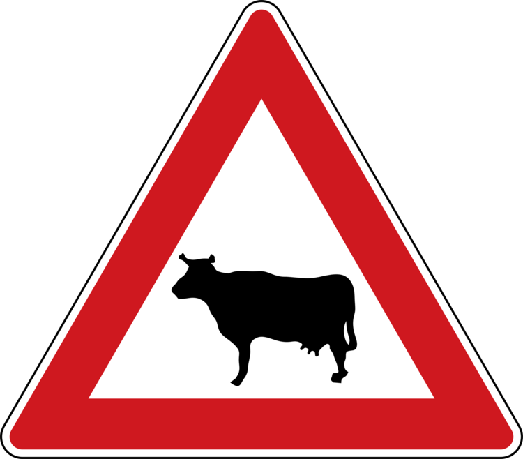 Tričko Cattle crossing