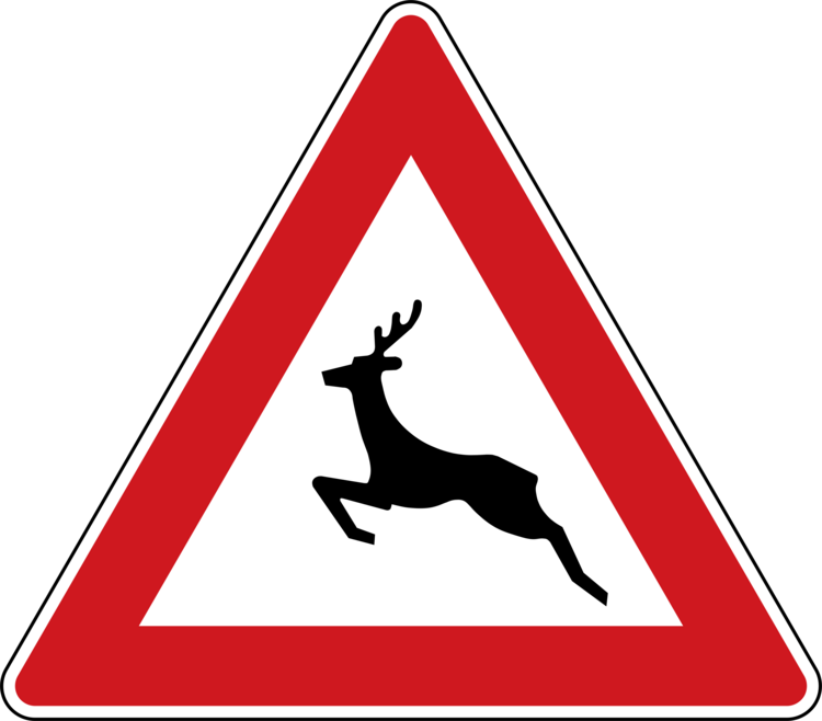 Tričko Animals crossing