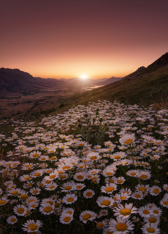 Fotografie Closer to the sun, Sergio AbeVilla, (30 x 40 cm)