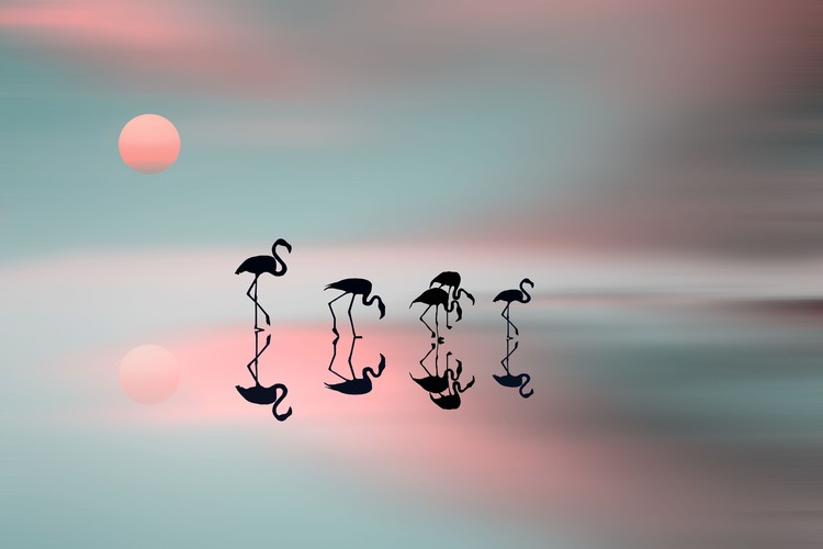 Canvastavla Family flamingos