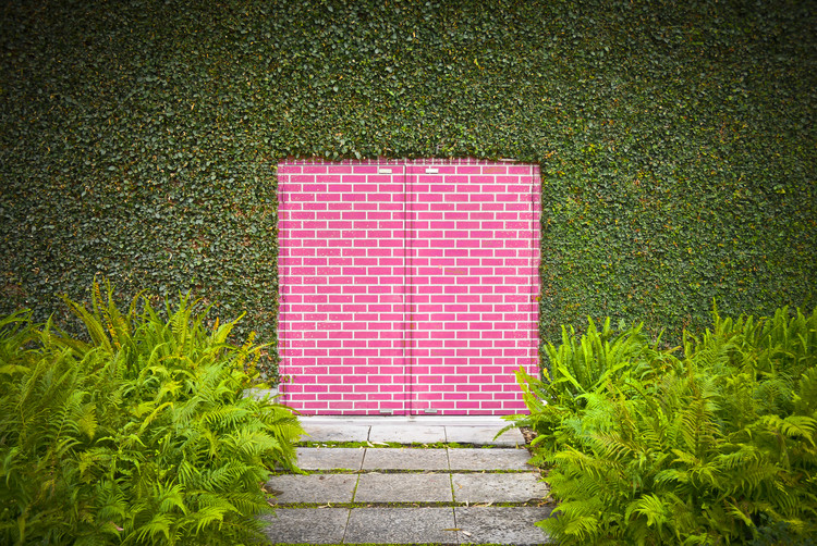 Wallpaper Mural Pink Brick Door
