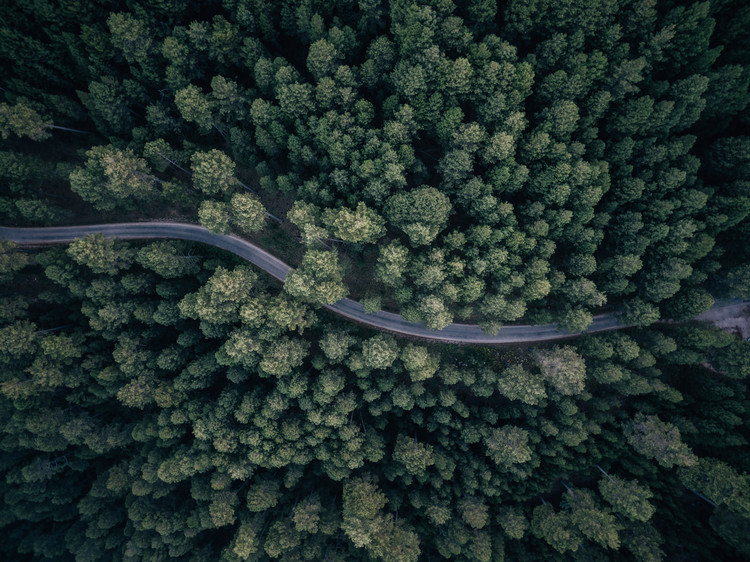 Art Photography From above