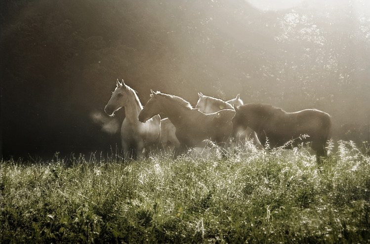 Photographie artistique Yesterday morning