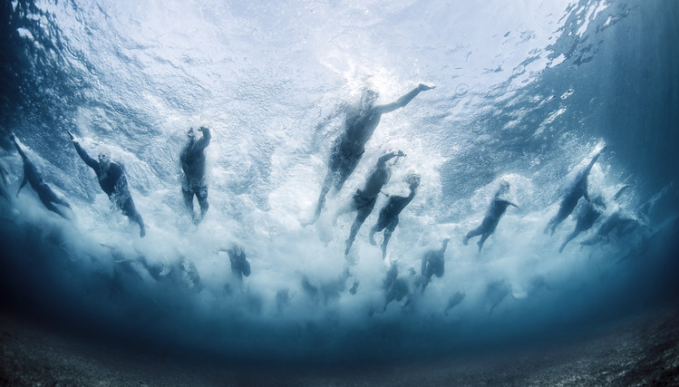Canvas Print Swim