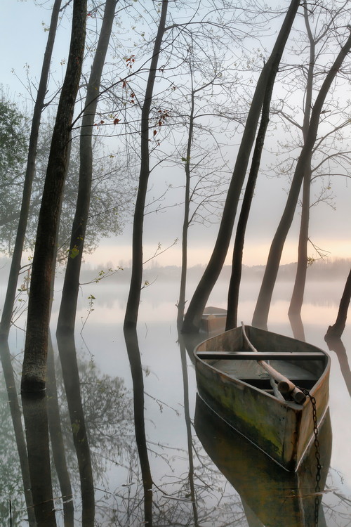 Fotografia artistica Serene Dawn