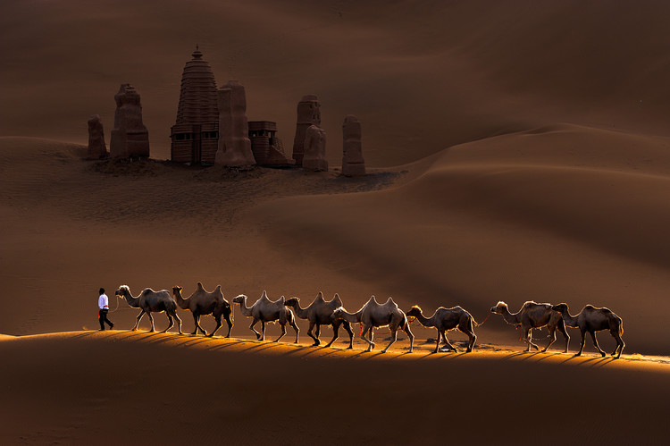 Valokuvataide Castle and Camels