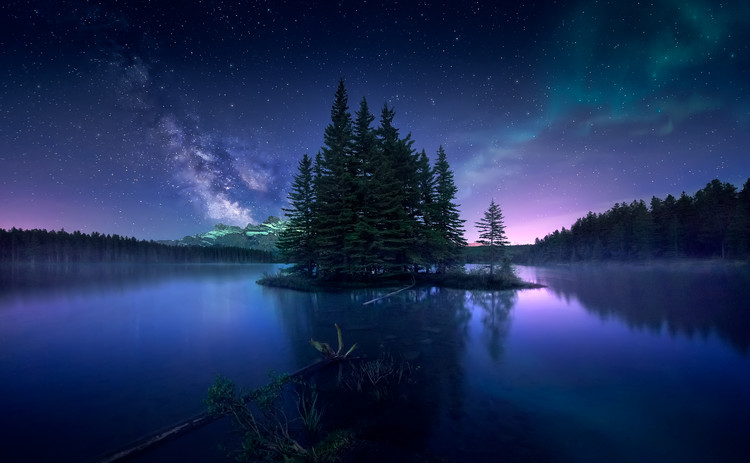 dreamy night wallpaper