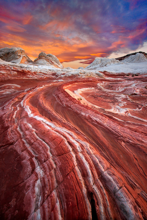 Art Photography Morning Delight
