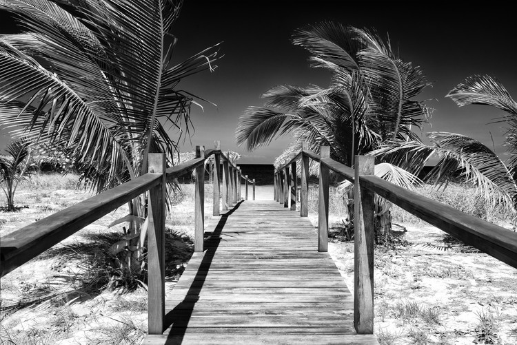 Photographie artistique Wooden Pier on Tropical Beach
