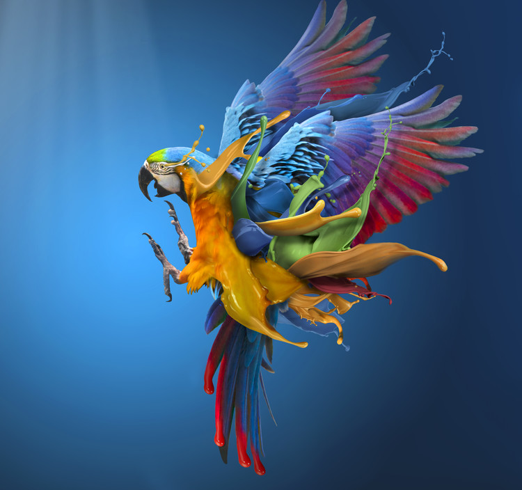 Illustration Flying Colours
