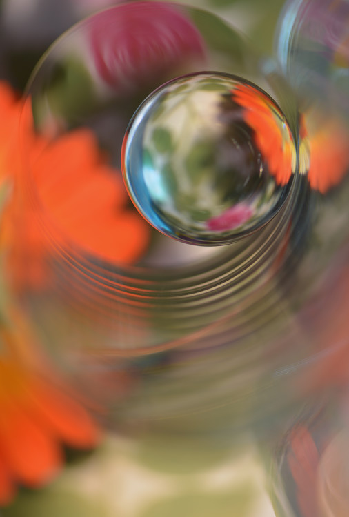 Valokuvataide Floral sphere