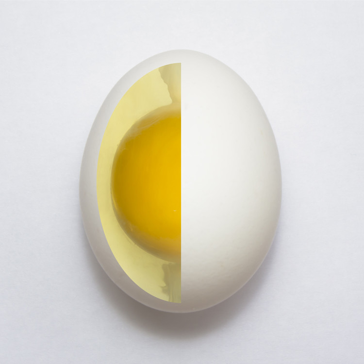 Inner Egg | Poster, Kunstdrucke, Fototapeten | Europosters