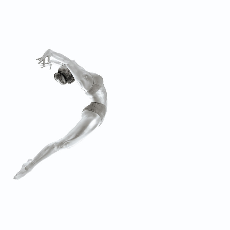 Canvas Print Flight - Gymnastics Series