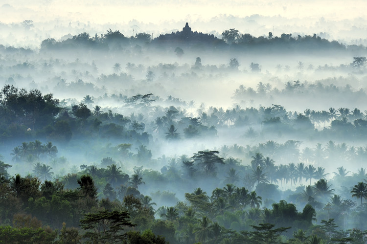 Wallpaper Mural Misty Borobudur