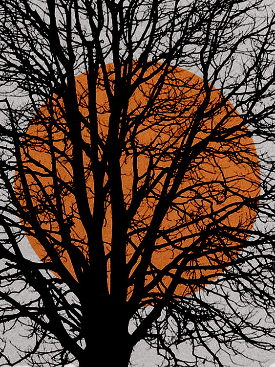Illustration abstractorangesuntree