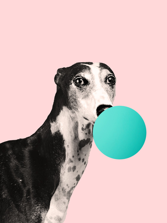 Illustration bubblegumdog