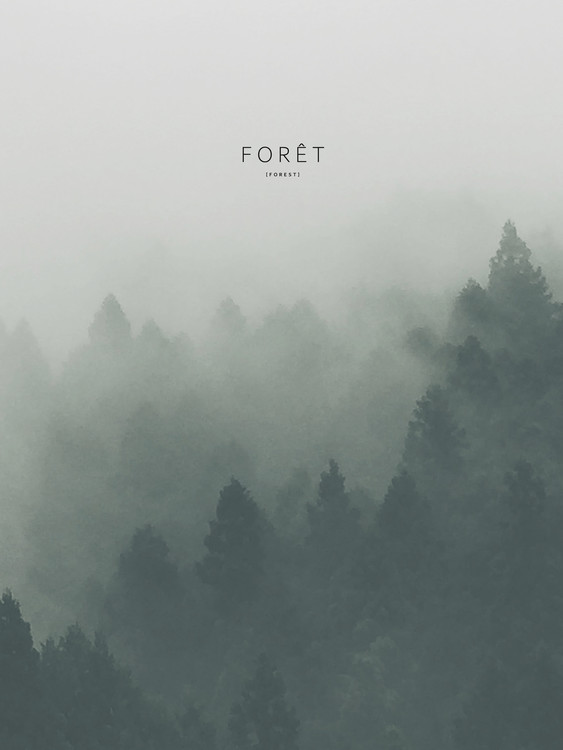Canvas Print foret2