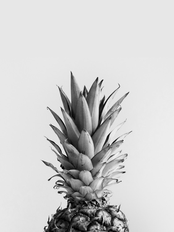 Fotomurale pineappleblackandwhite