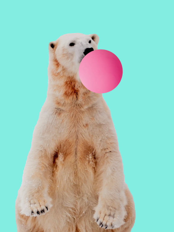 Ilustratie Bubblegum polarbear
