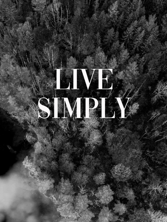 Illustrazione Live simply