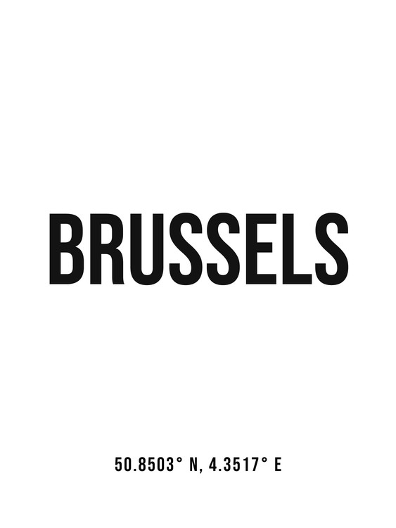 Ilustrace Brussels simple coordinates