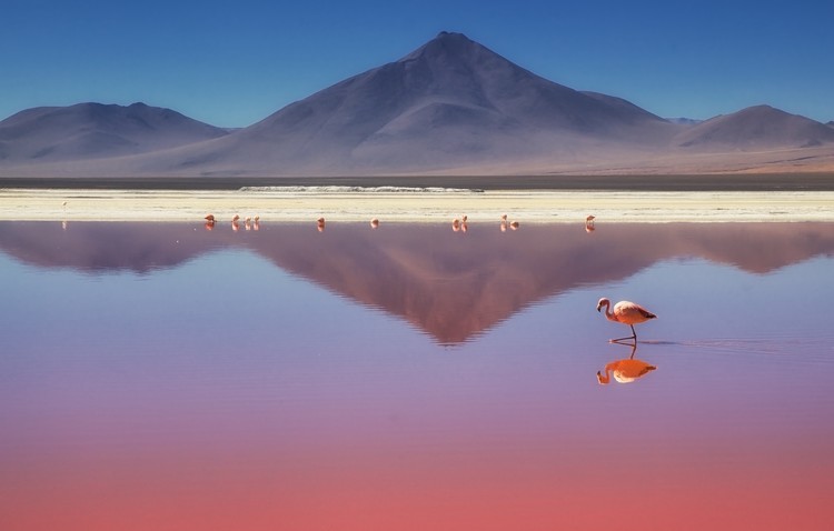 Umelecká fotografie Pink Morning