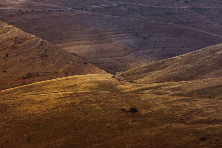 Art Photography Last sun rays over the valley 2