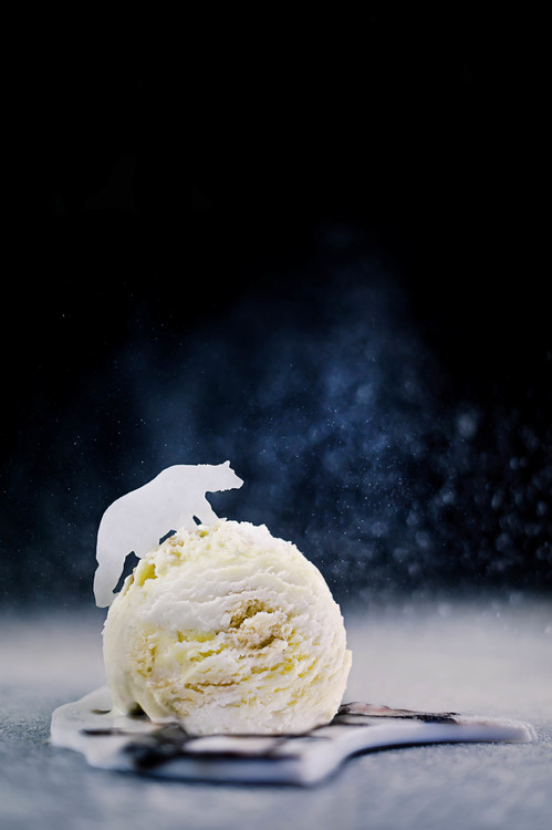 Arte Fotográfica Polar Bear (Powdered Sugar)