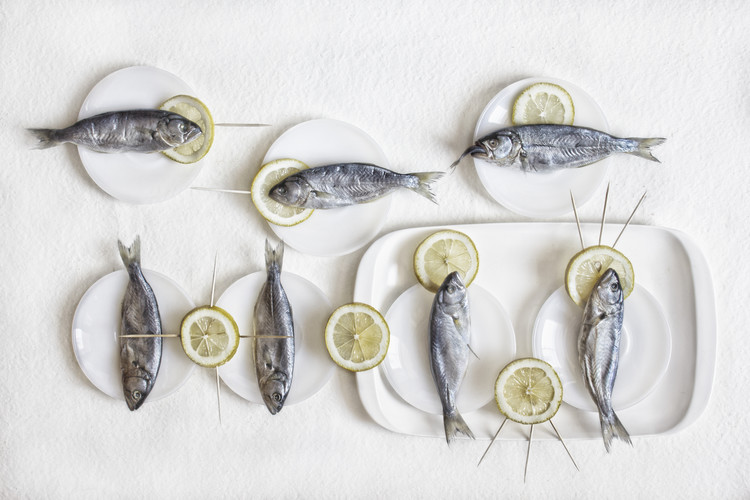 Arte Fotográfica Still Life with Fish
