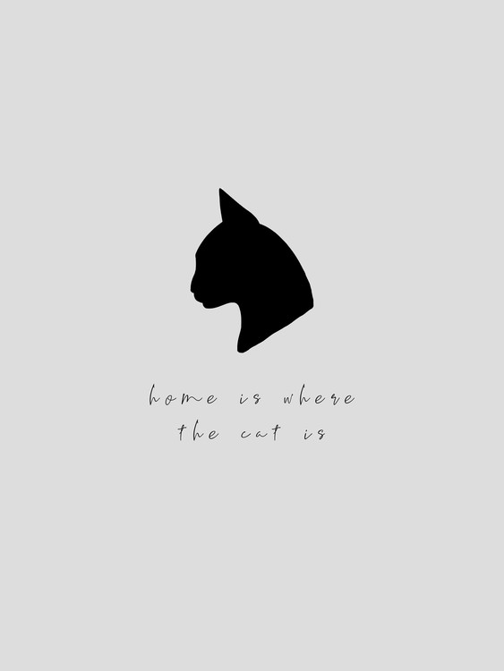 Illustration home is where the cat is