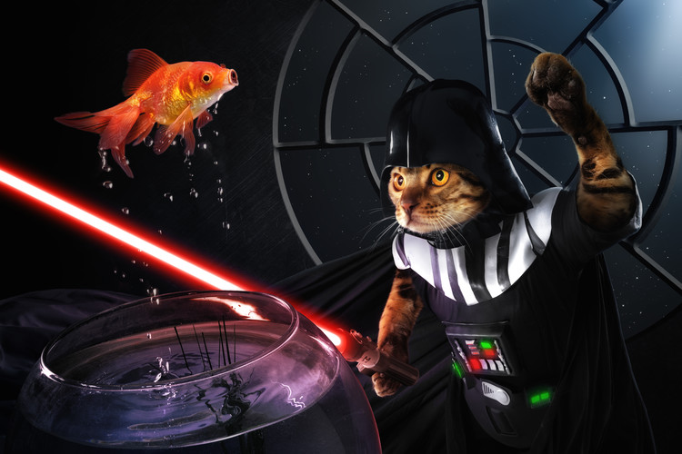 Fotografia artystyczna Darth Sushi