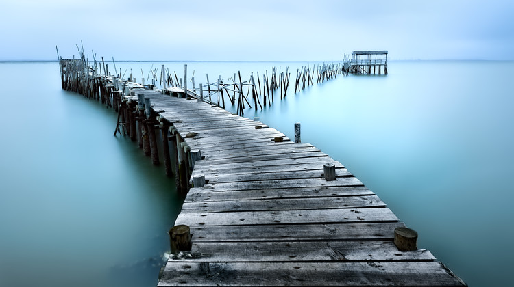 Fotografie Carrasqueira II, Jesús M. García, (40 x 22.5 cm)