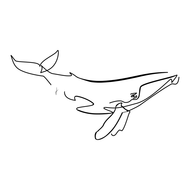Ilustrare Balena
