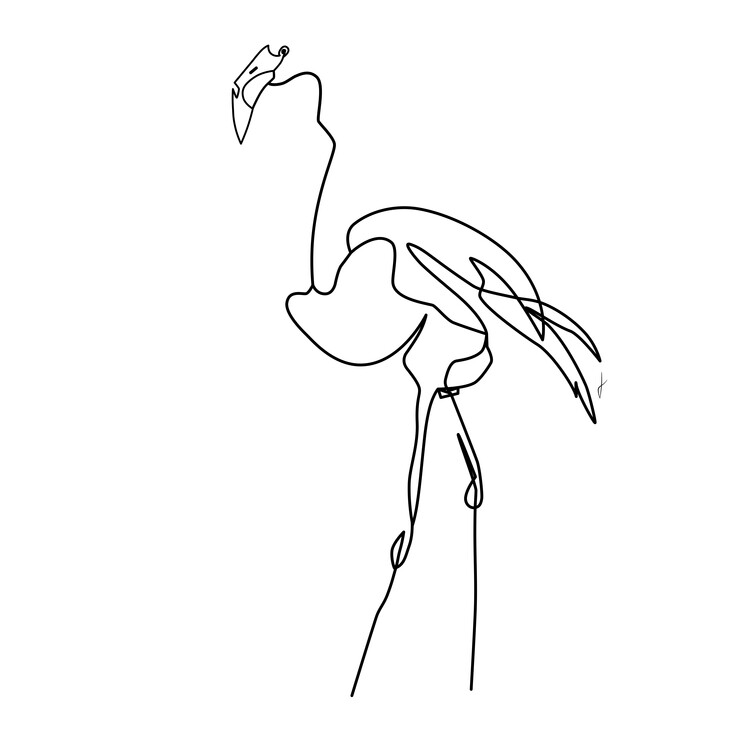 Illustration Flamingo In The Clouds