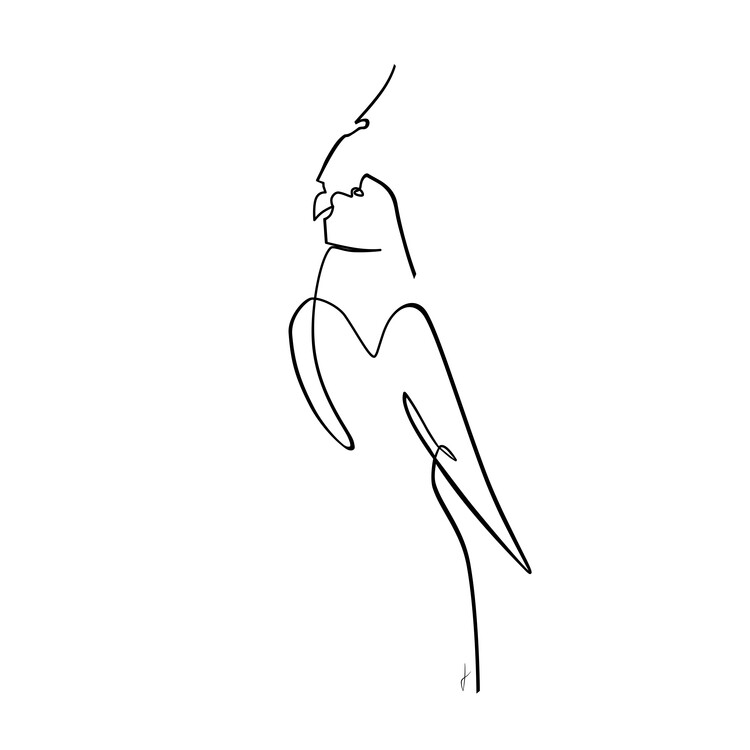 Ilustração Papagalo