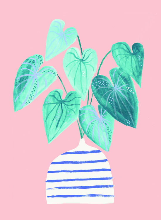 Ilustrace Houseplant in stripey vase, Laura Irwin, (30 x 40 cm)