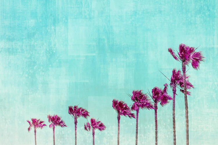 Kunstfotografie California Vibes In Psychadelic Colors