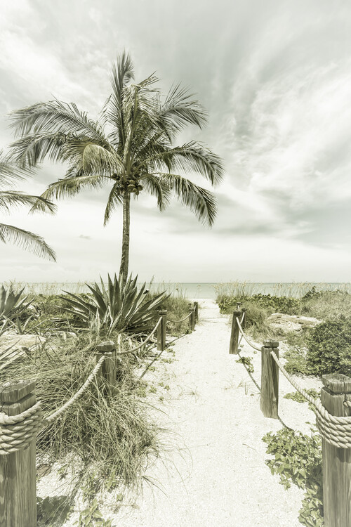 Art Photography Path to the beach | Vintage