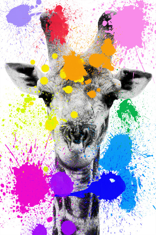 Canvas Print Giraffe