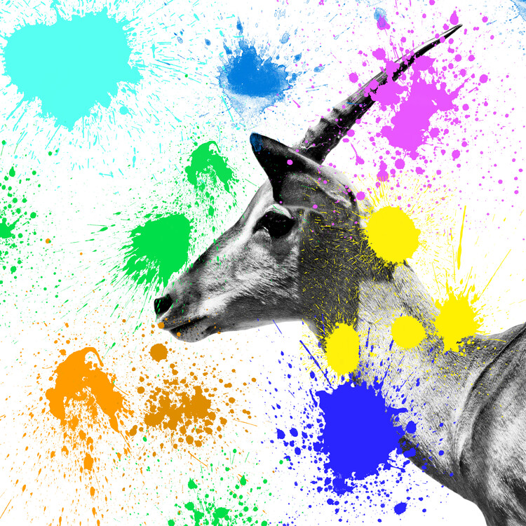 Umelecká fotografie Antelope IV