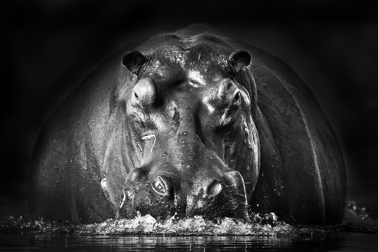 Art Photography POWER