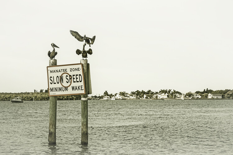 Kunstfotografie Coastal View from Fort Myers Beach | Vintage