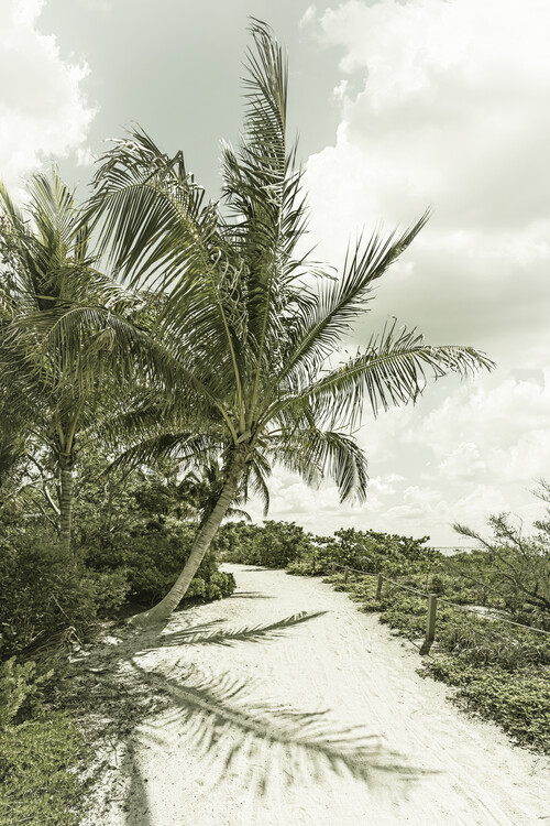 Art Photography Sanibel Island | Vintage