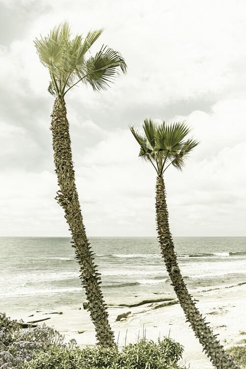 palm trees vintage wallpapers