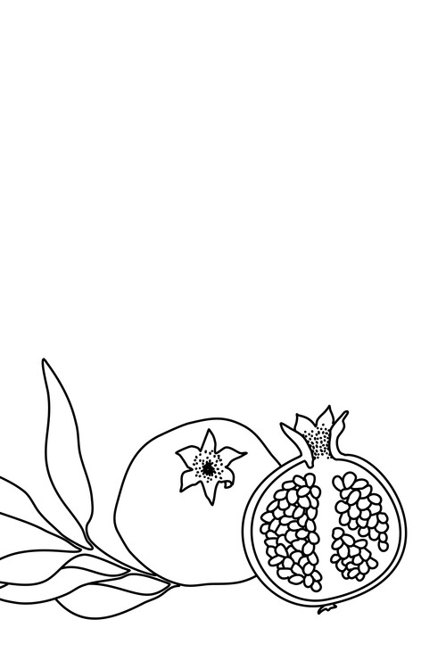 pomegranate clipart black and white