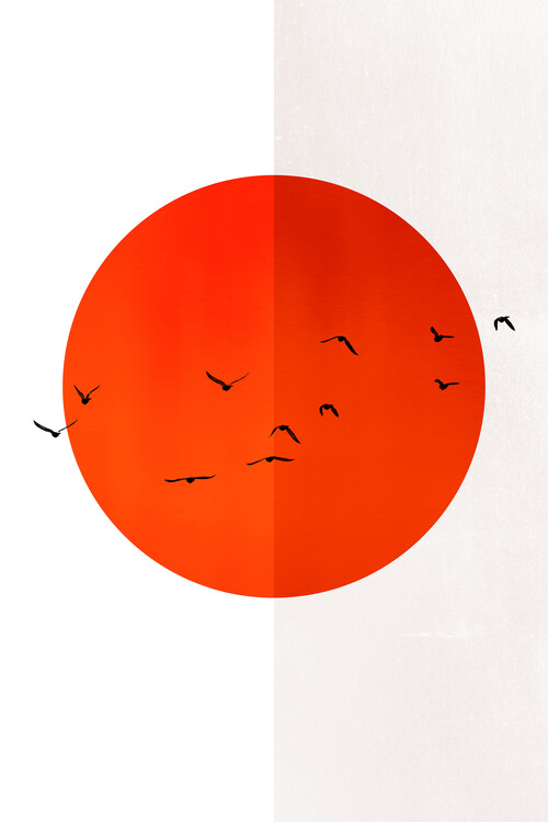Ilustrare 13 Seagulls In The Sun