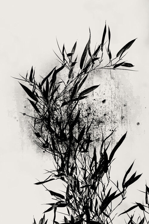 Kuva Always Bloom